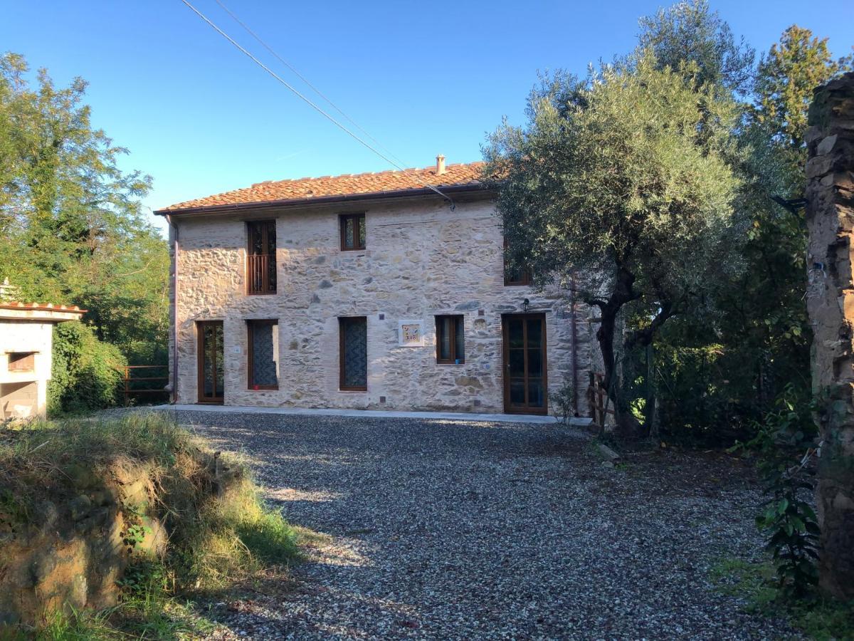Dolce Vita In Tuscany Cottage Capannori Eksteriør billede