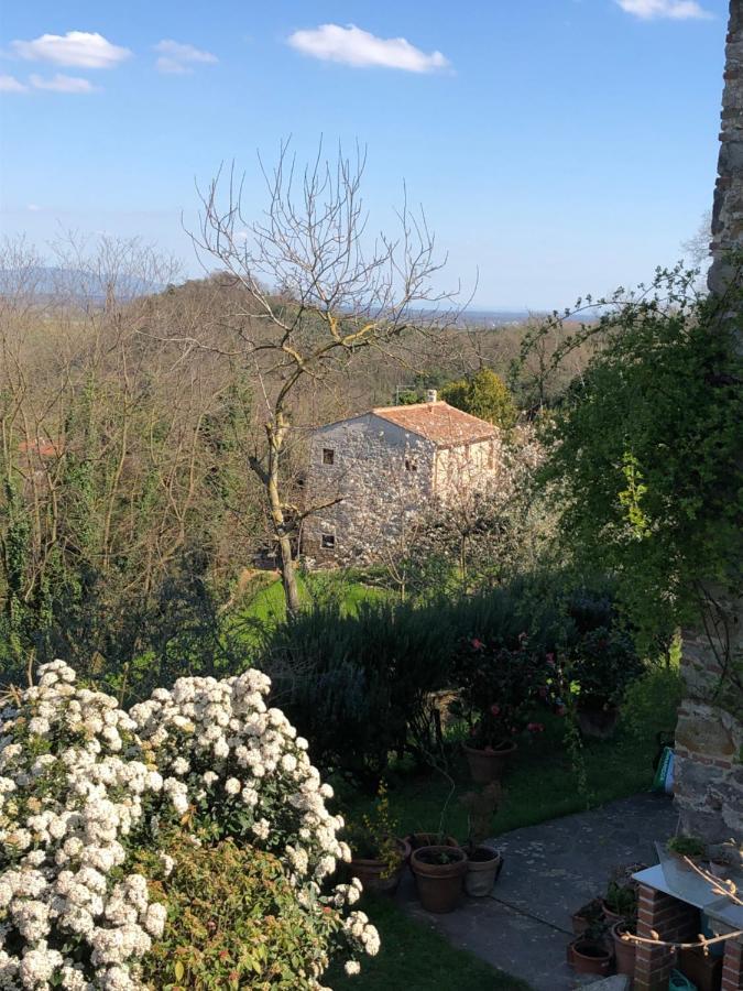 Dolce Vita In Tuscany Cottage Capannori Eksteriør billede