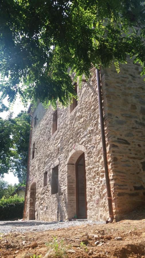 Dolce Vita In Tuscany Cottage Capannori Eksteriør billede
