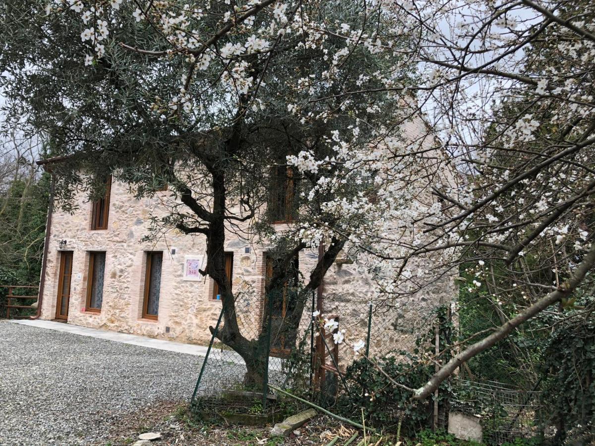 Dolce Vita In Tuscany Cottage Capannori Eksteriør billede