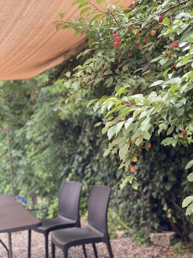 Dolce Vita In Tuscany Cottage Capannori Eksteriør billede