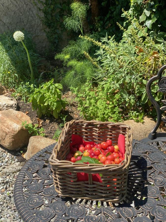 Dolce Vita In Tuscany Cottage Capannori Eksteriør billede