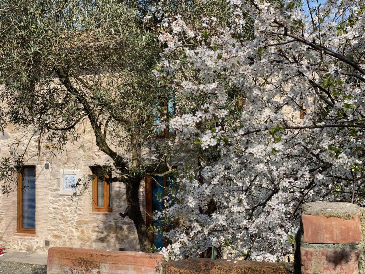 Dolce Vita In Tuscany Cottage Capannori Eksteriør billede