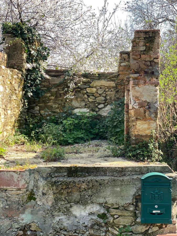 Dolce Vita In Tuscany Cottage Capannori Eksteriør billede