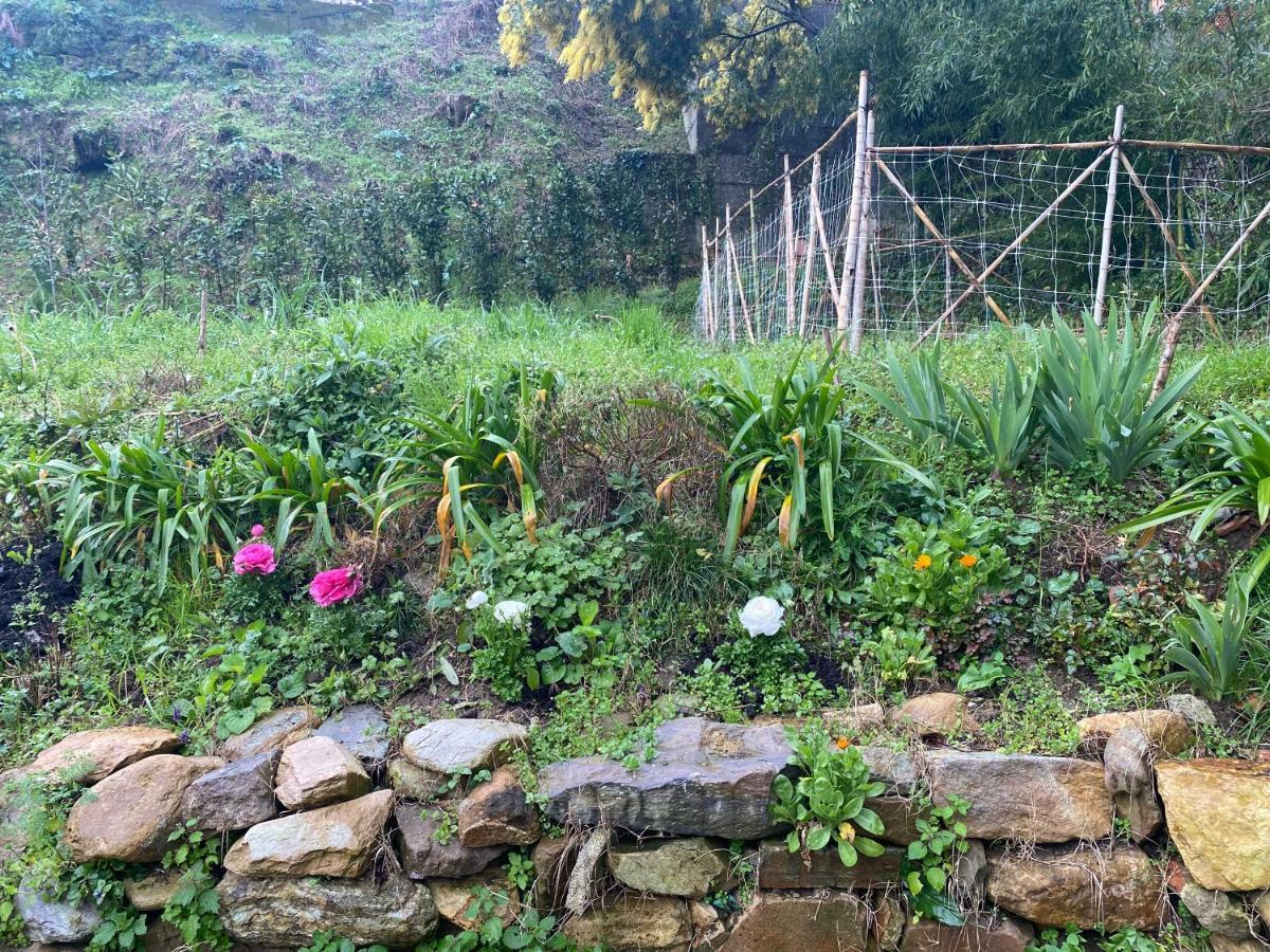Dolce Vita In Tuscany Cottage Capannori Eksteriør billede