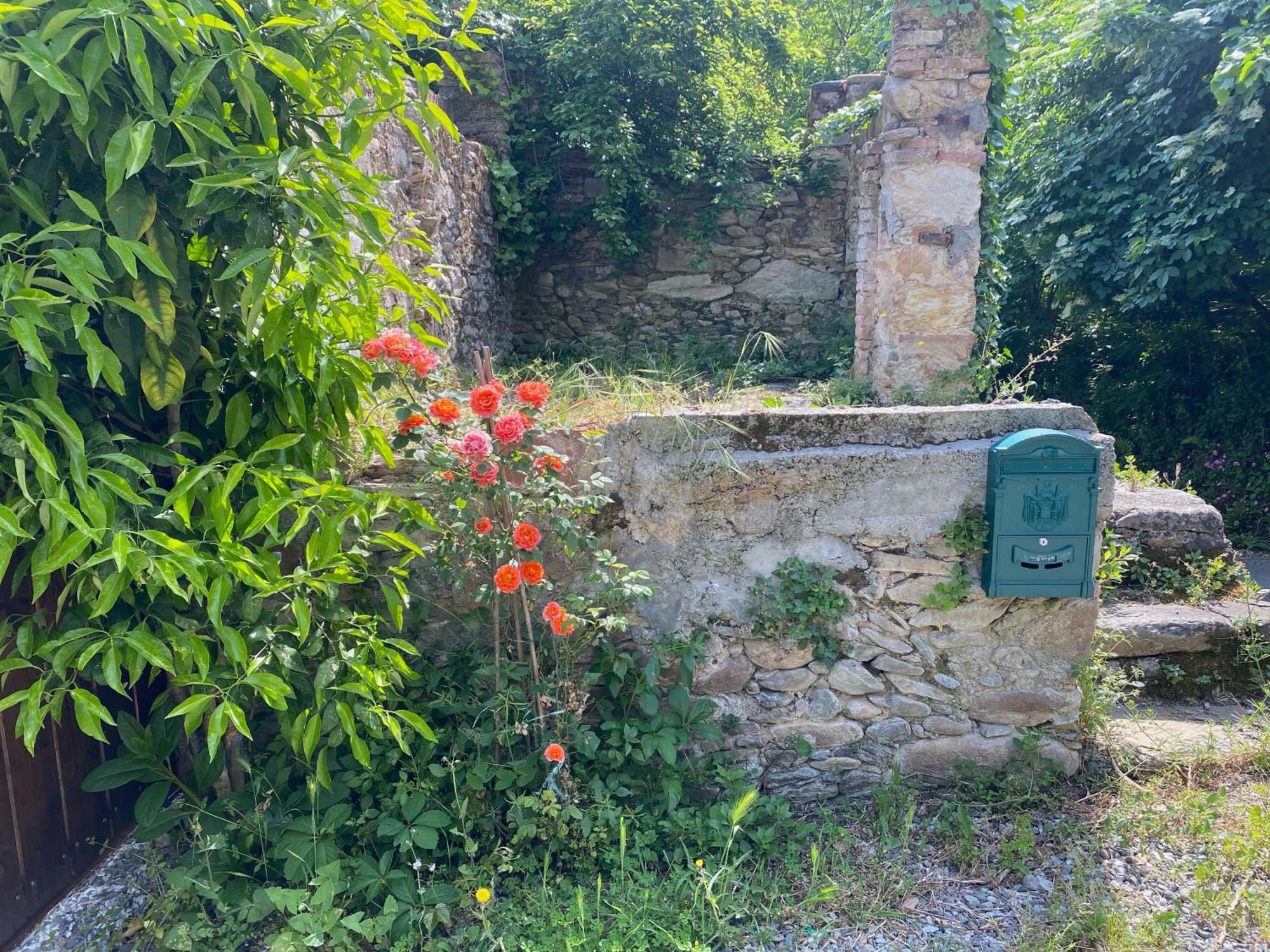 Dolce Vita In Tuscany Cottage Capannori Eksteriør billede