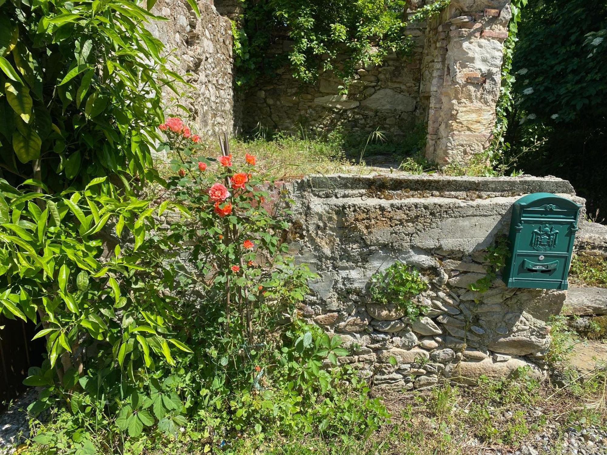 Dolce Vita In Tuscany Cottage Capannori Eksteriør billede